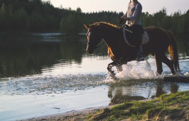 Trail riding can be a fun holiday weekend activity!