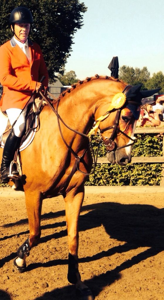 A Clear Victory for Todd Minikus at the   Furusiyya FEI Nations Cup™ in Hickstead