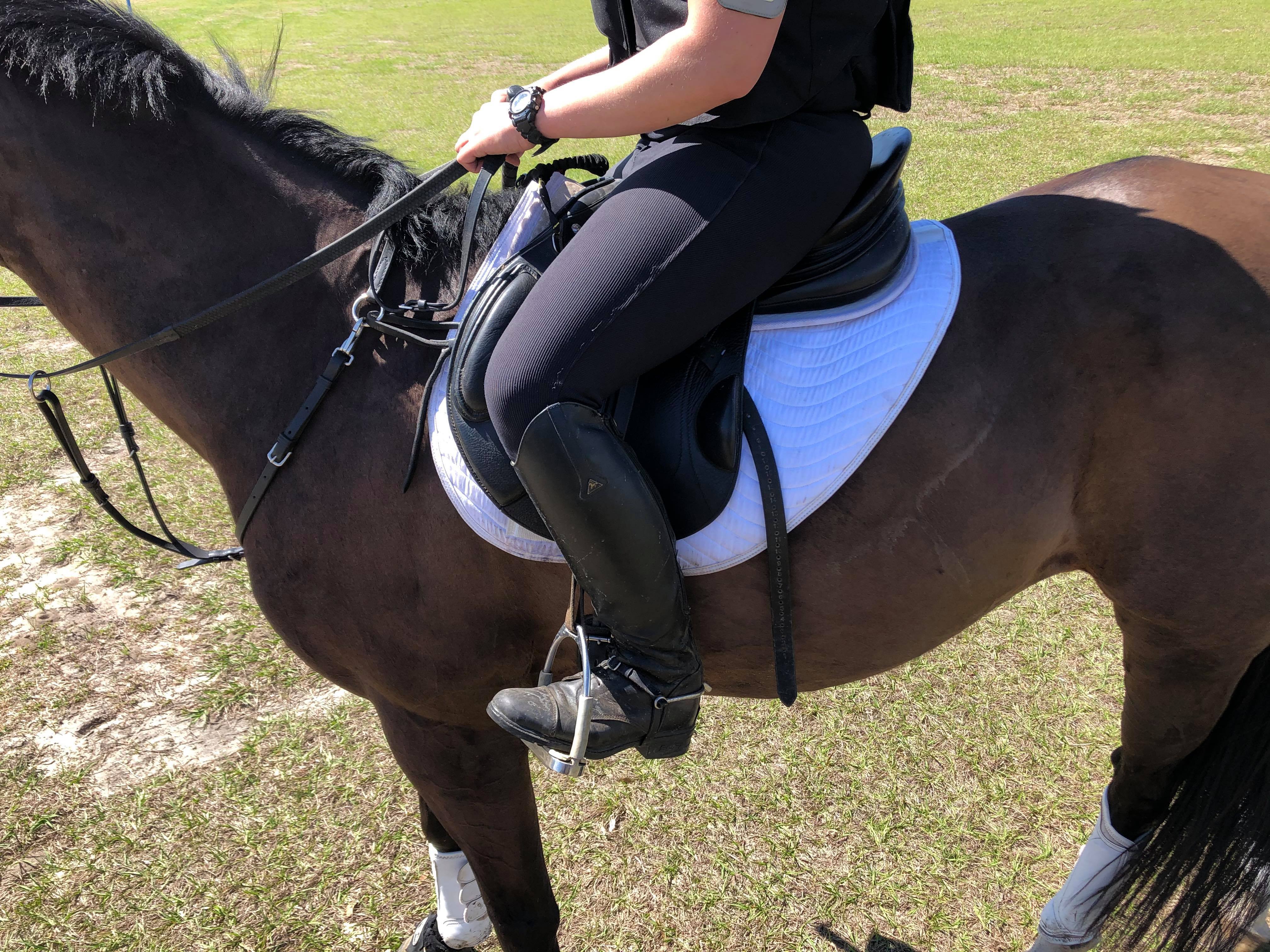 shaped saddle pad on horse