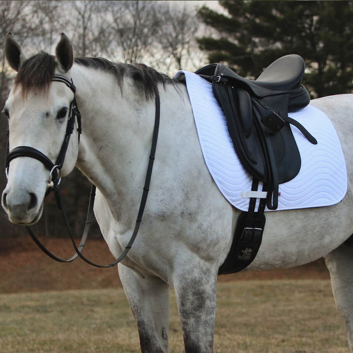 Therapeutic saddle pad