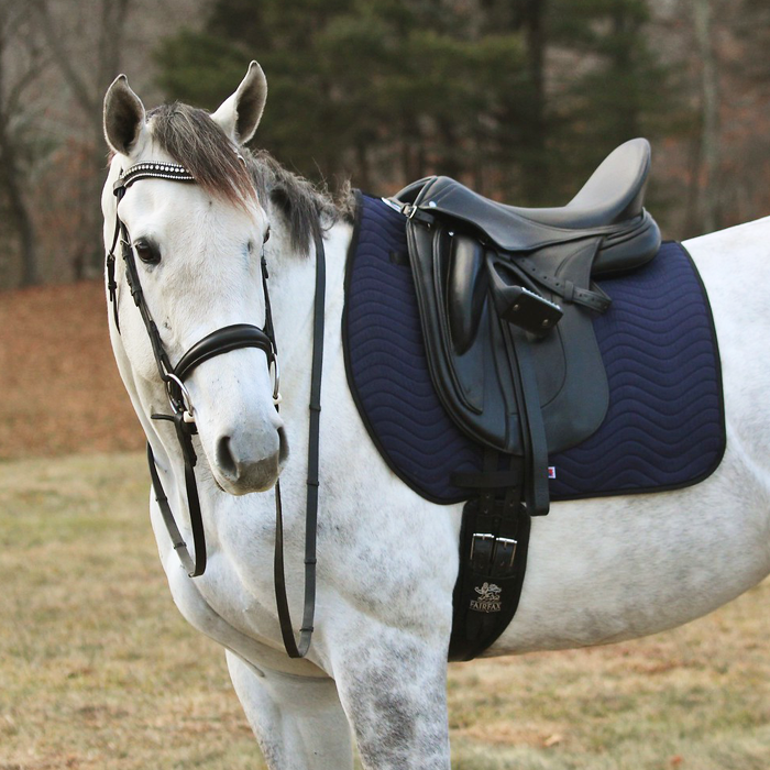 Dressage saddle Pad navy web on Saint