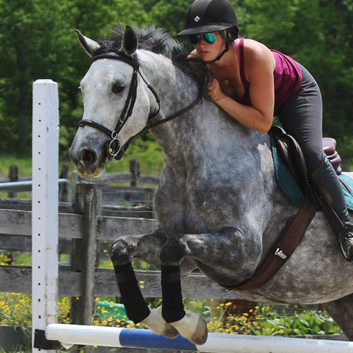 Draper Equine Therapy® Polo Wraps Draper Therapies