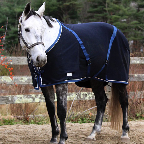 Draper Equine Therapy® Stable Sheet – Draper Therapies