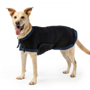 Companion dog coats Clearance
