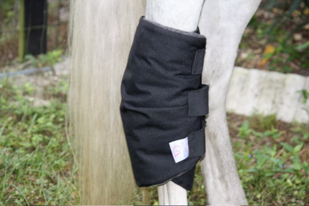 Draper Equine Therapy Hock Boot